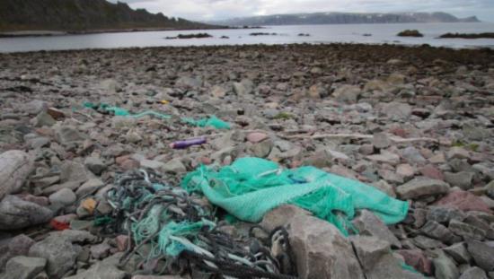 Picture shows plastic and trash on beach