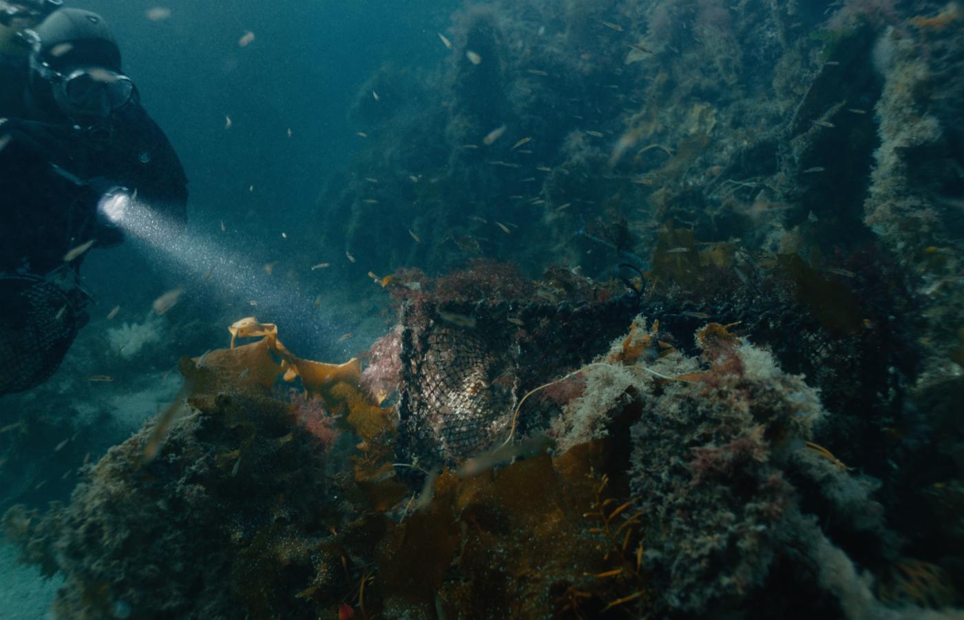 Bildet viser en dykker med lommelykt i havet