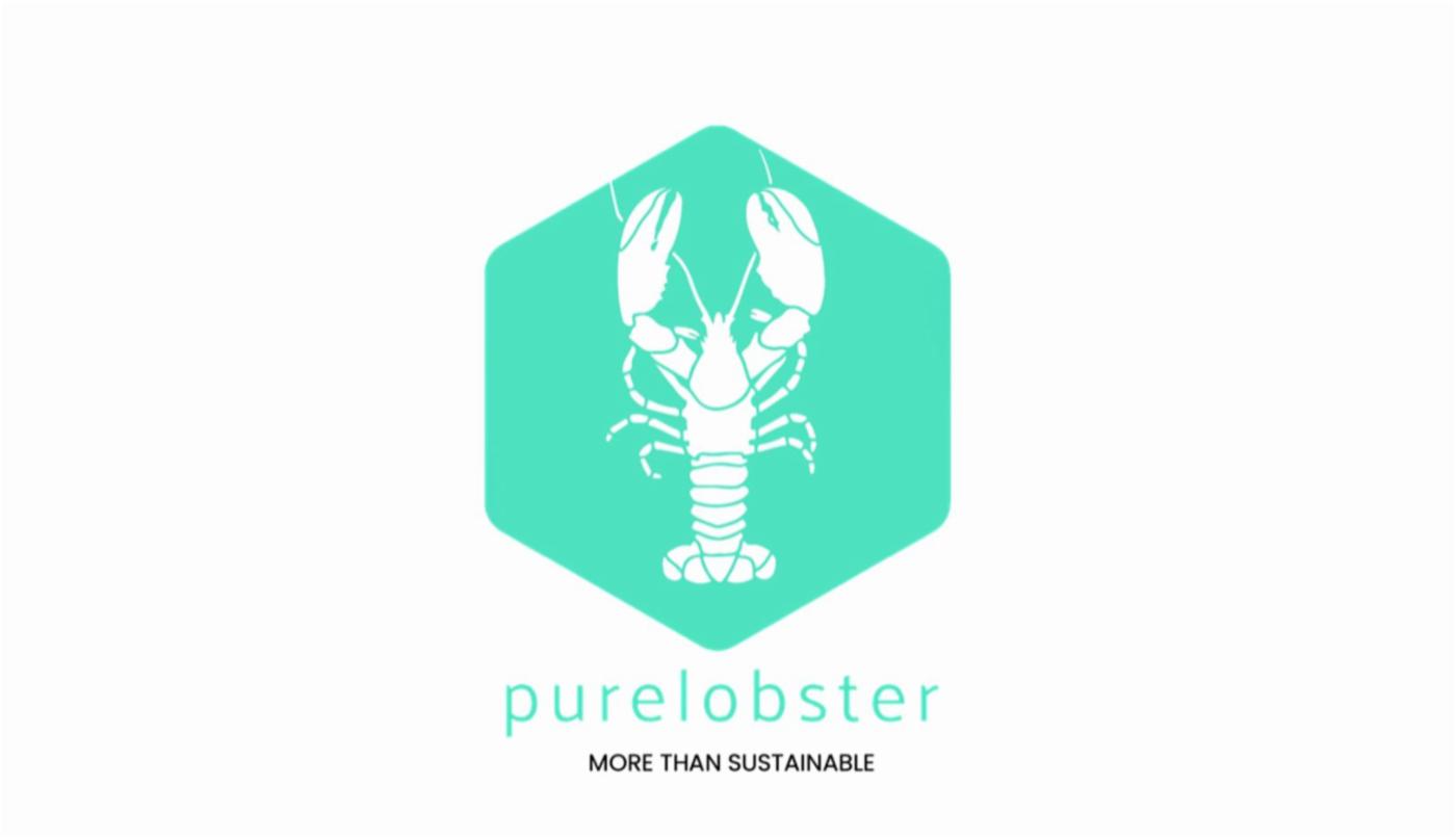 Logo Pure Lobster