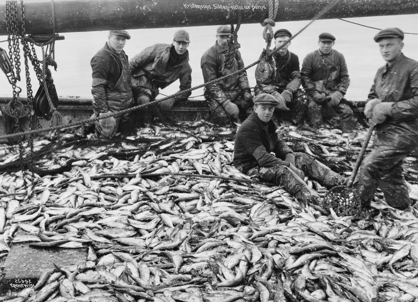 Sildefiskere på 1940-talet
