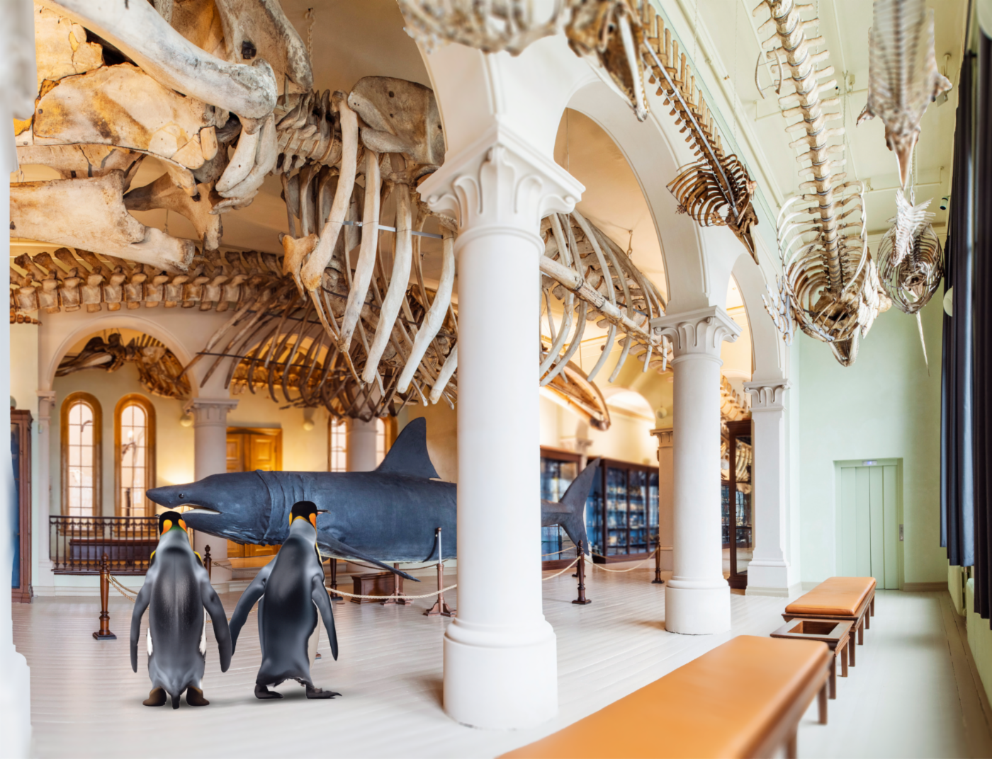 Bildet viser Naturhistorisk Museum, pingviner og store skjelett